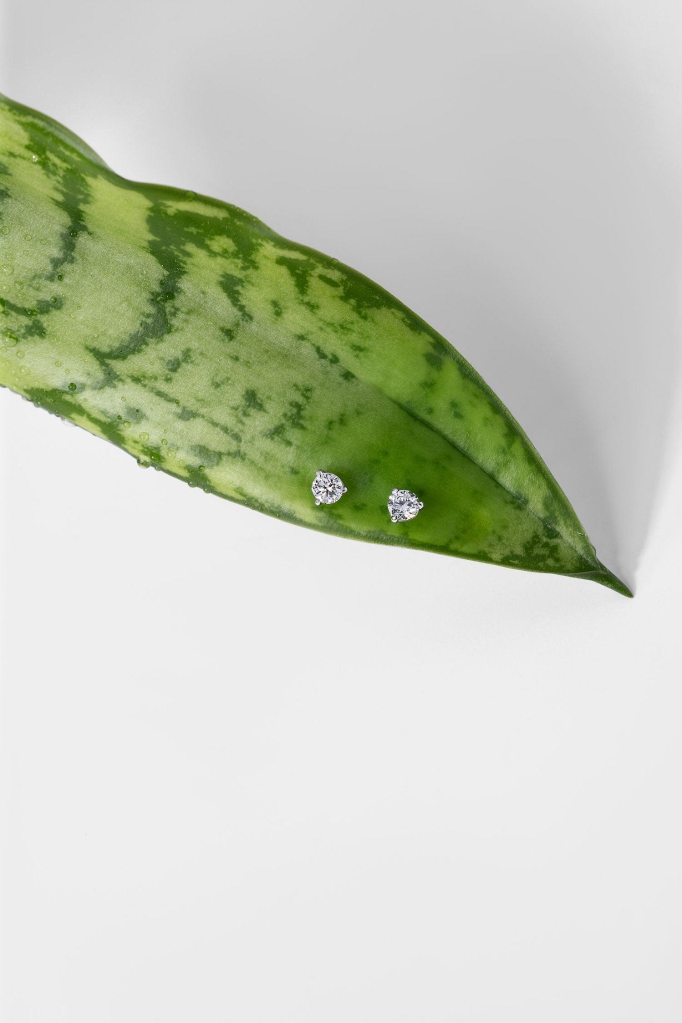 0.38ct Core Round Lab Diamond Martini Studs