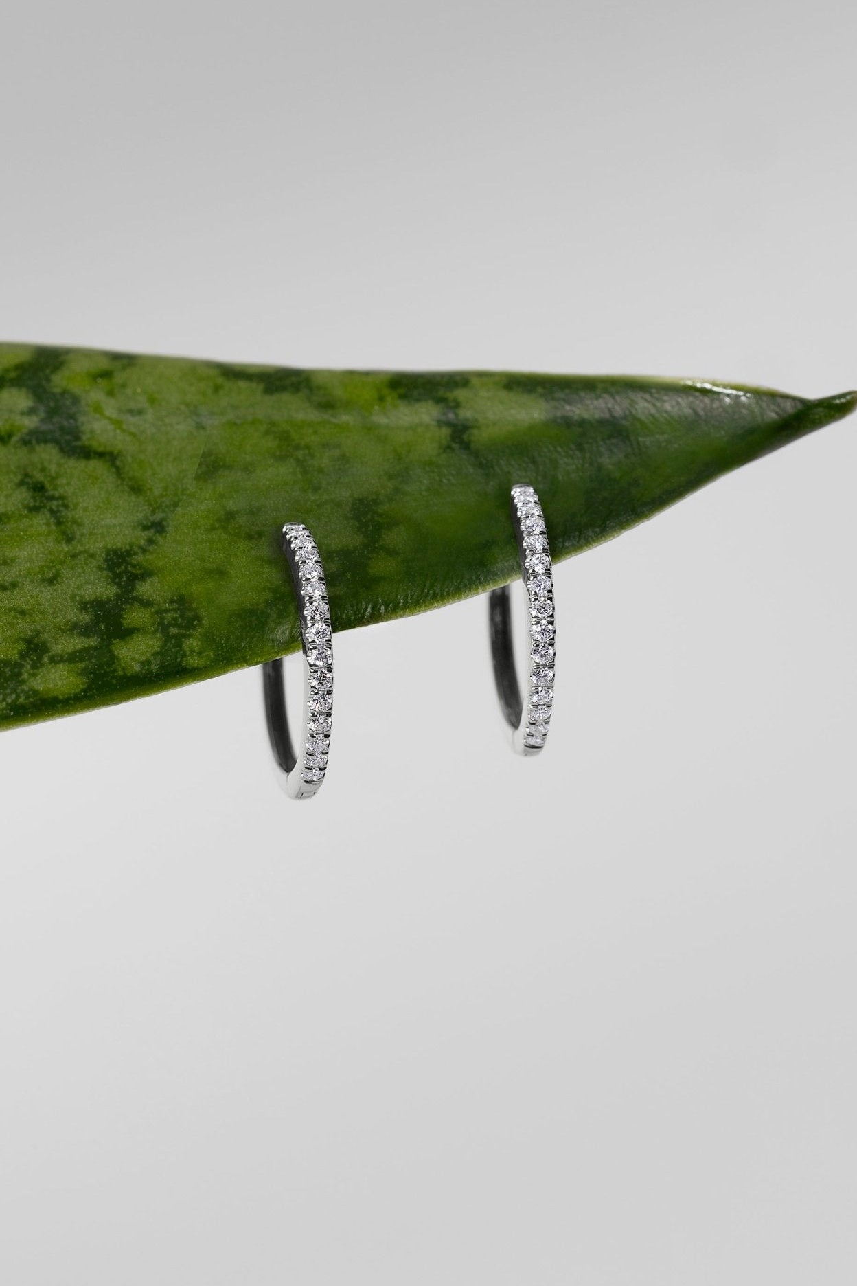 Extra-Fine 15mm Pavé Hoops White Gold