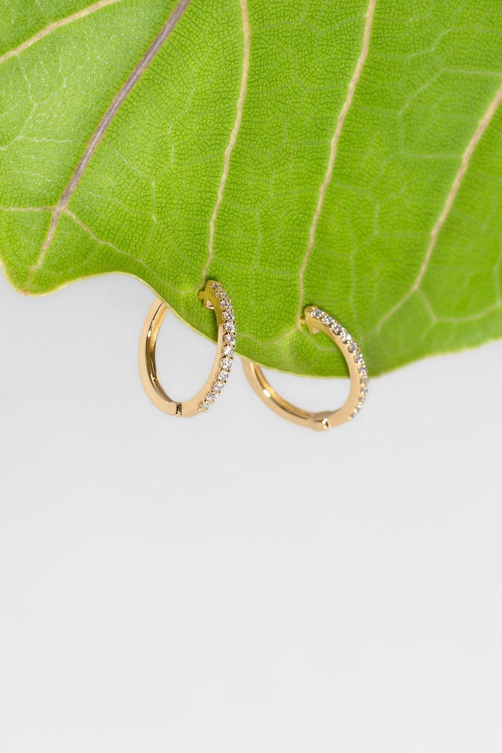 Extra-Fine 13mm Pavé Hoops Yellow Gold