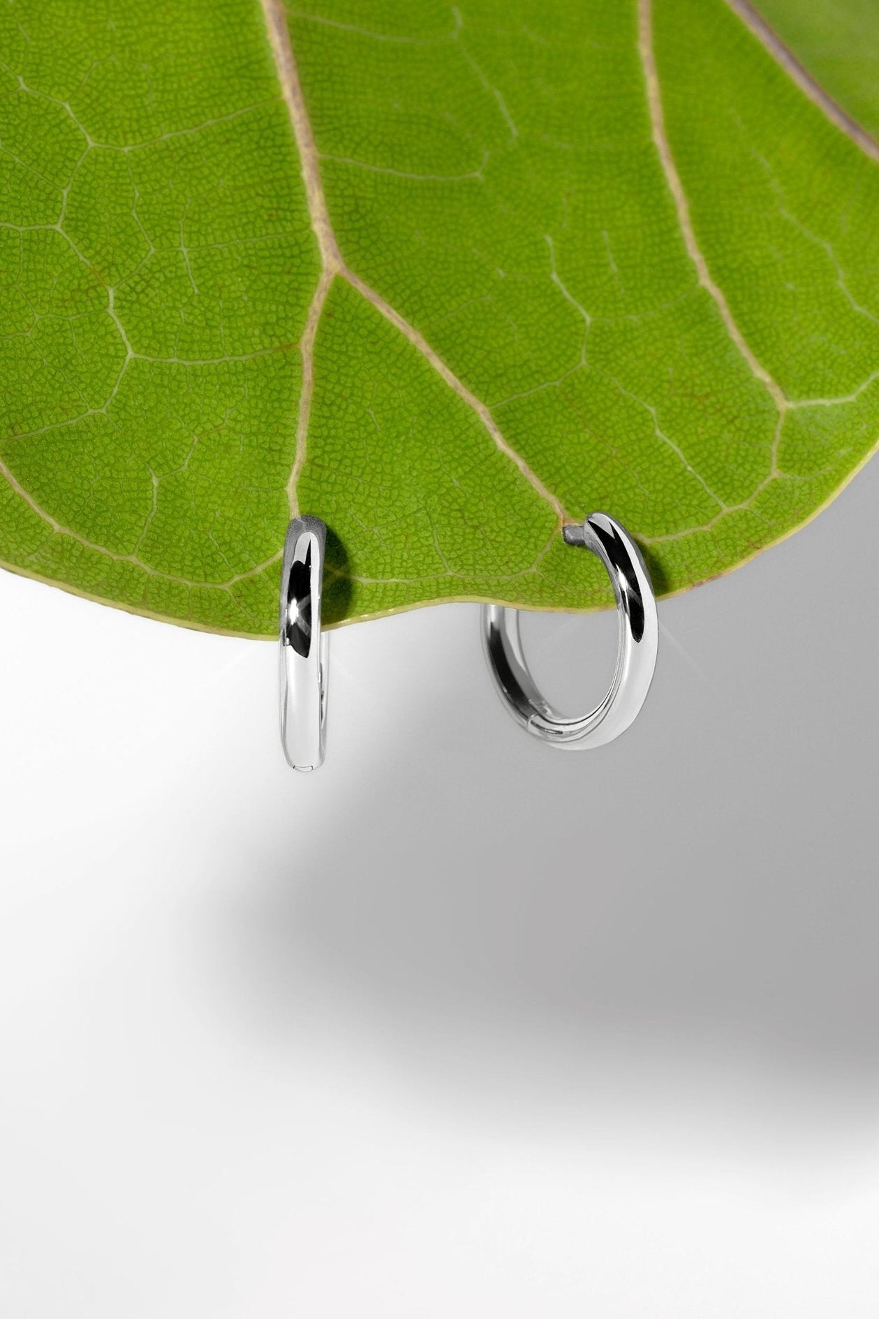 13x2mm Core High Polish Hoop 14k White