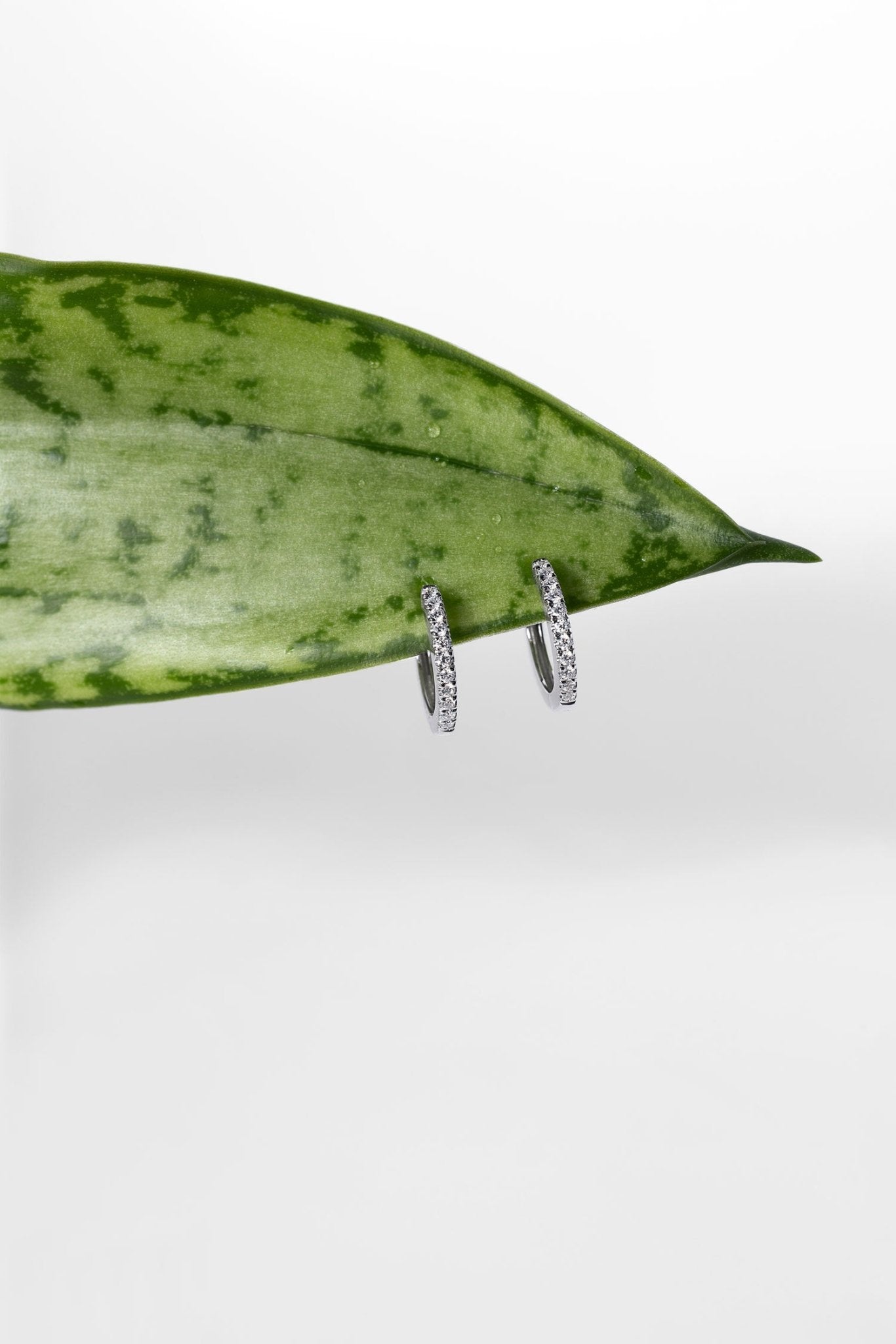 Extra-Fine 11mm Pavé Hoops White Gold