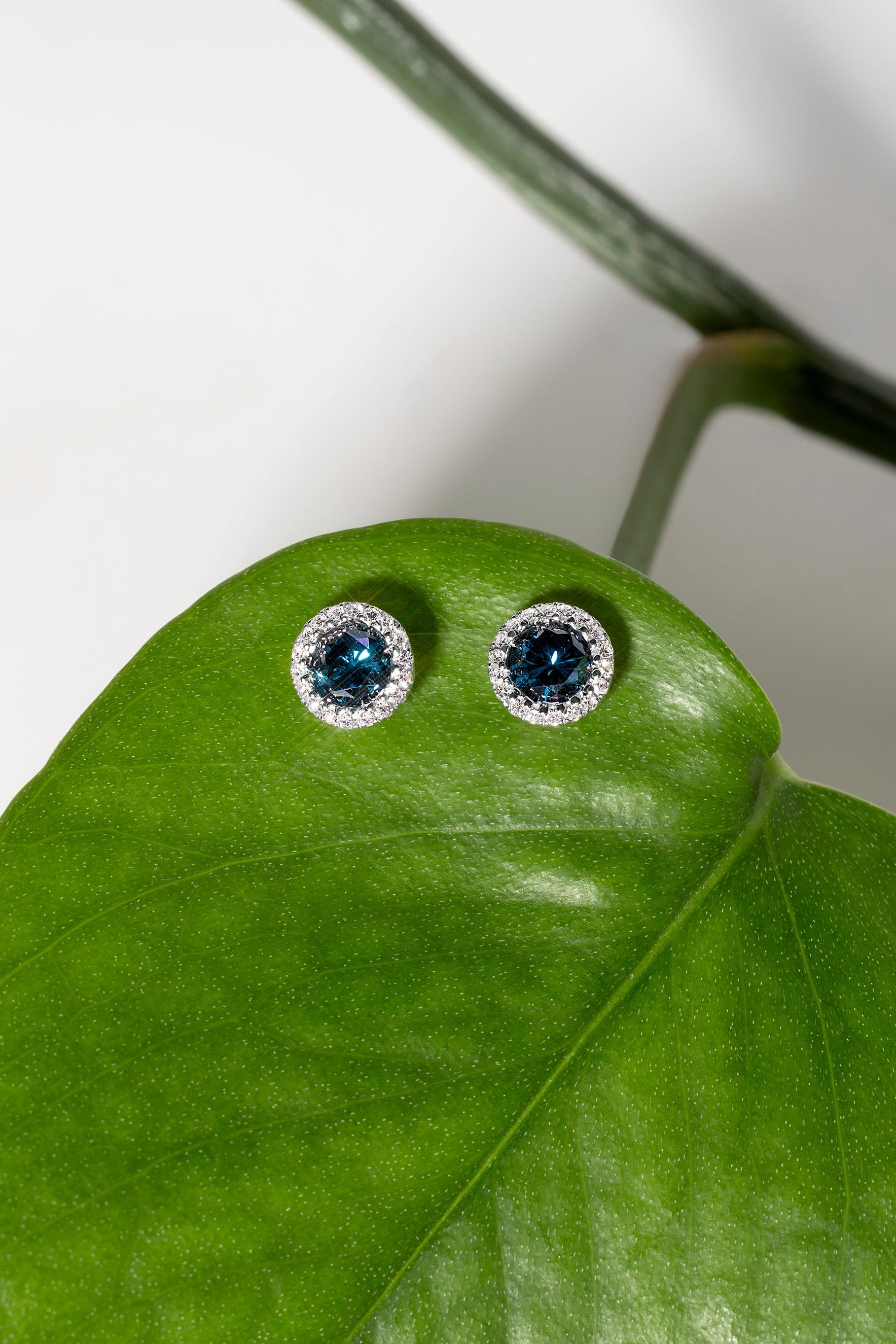 Blue Diamond Halo Studs
