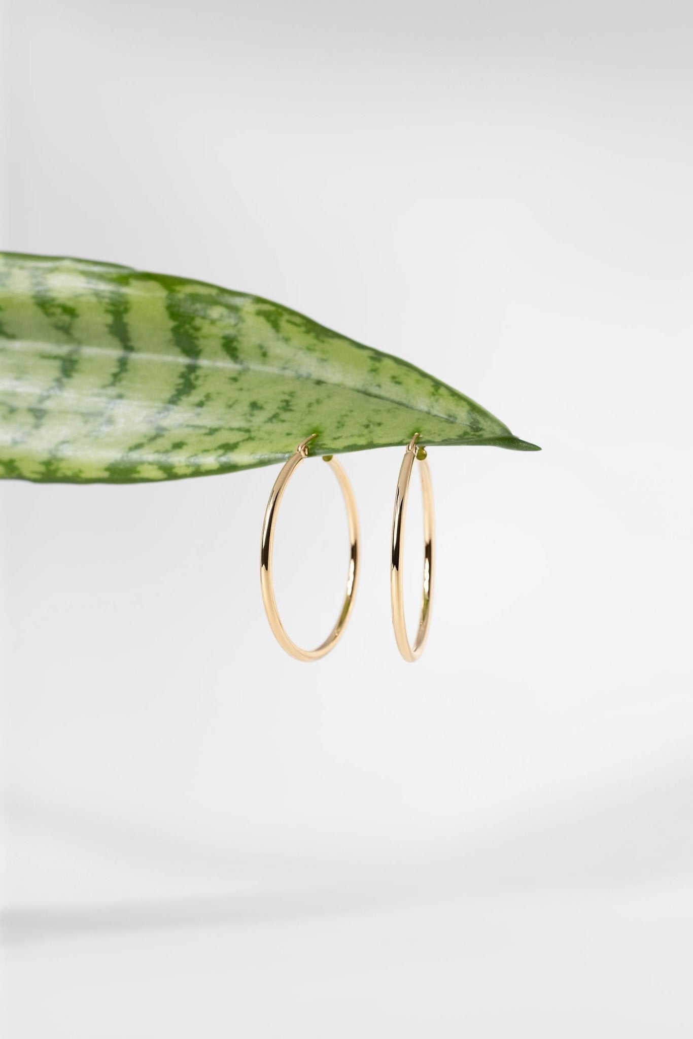 35x2mm Hollow High Polish Hoop 14k Yellow