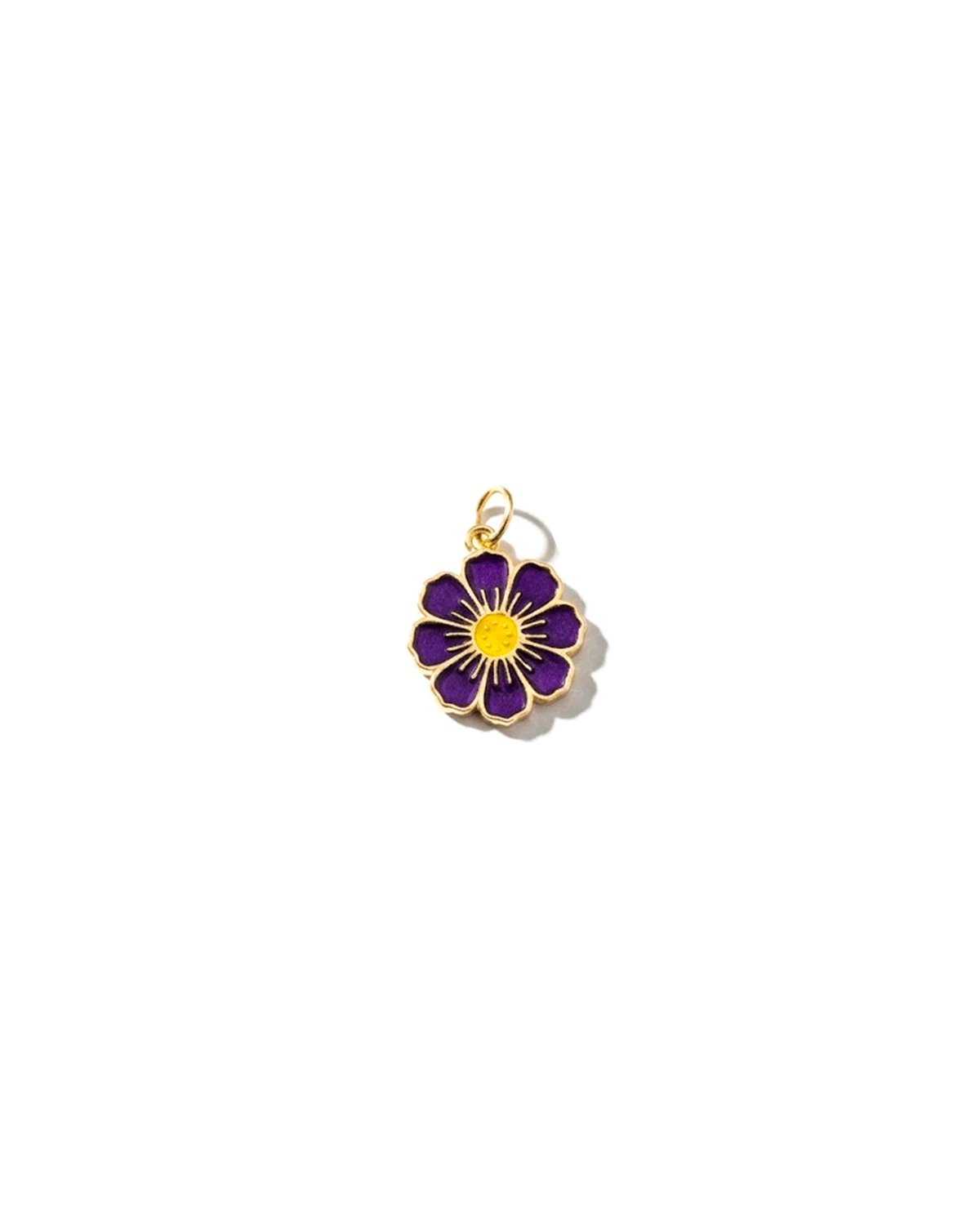 Cosmos Charm