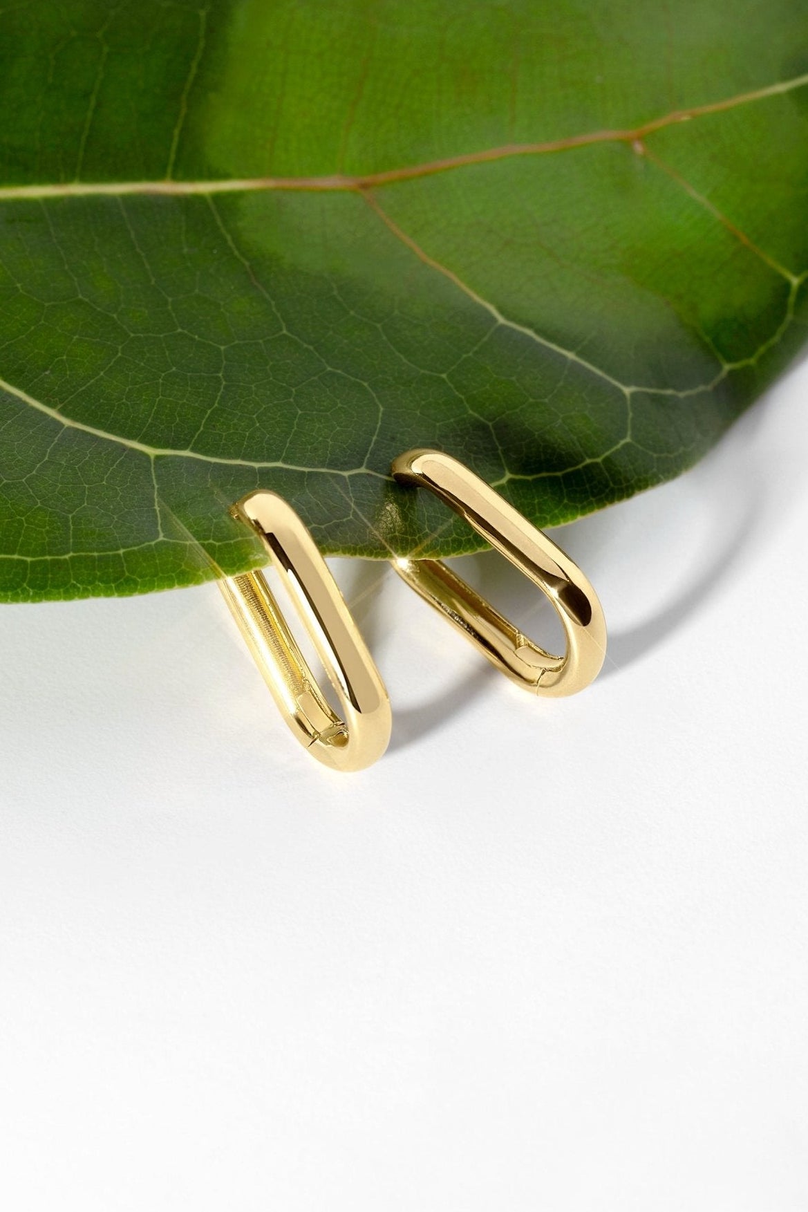 Paperclip Hoops Yellow Gold