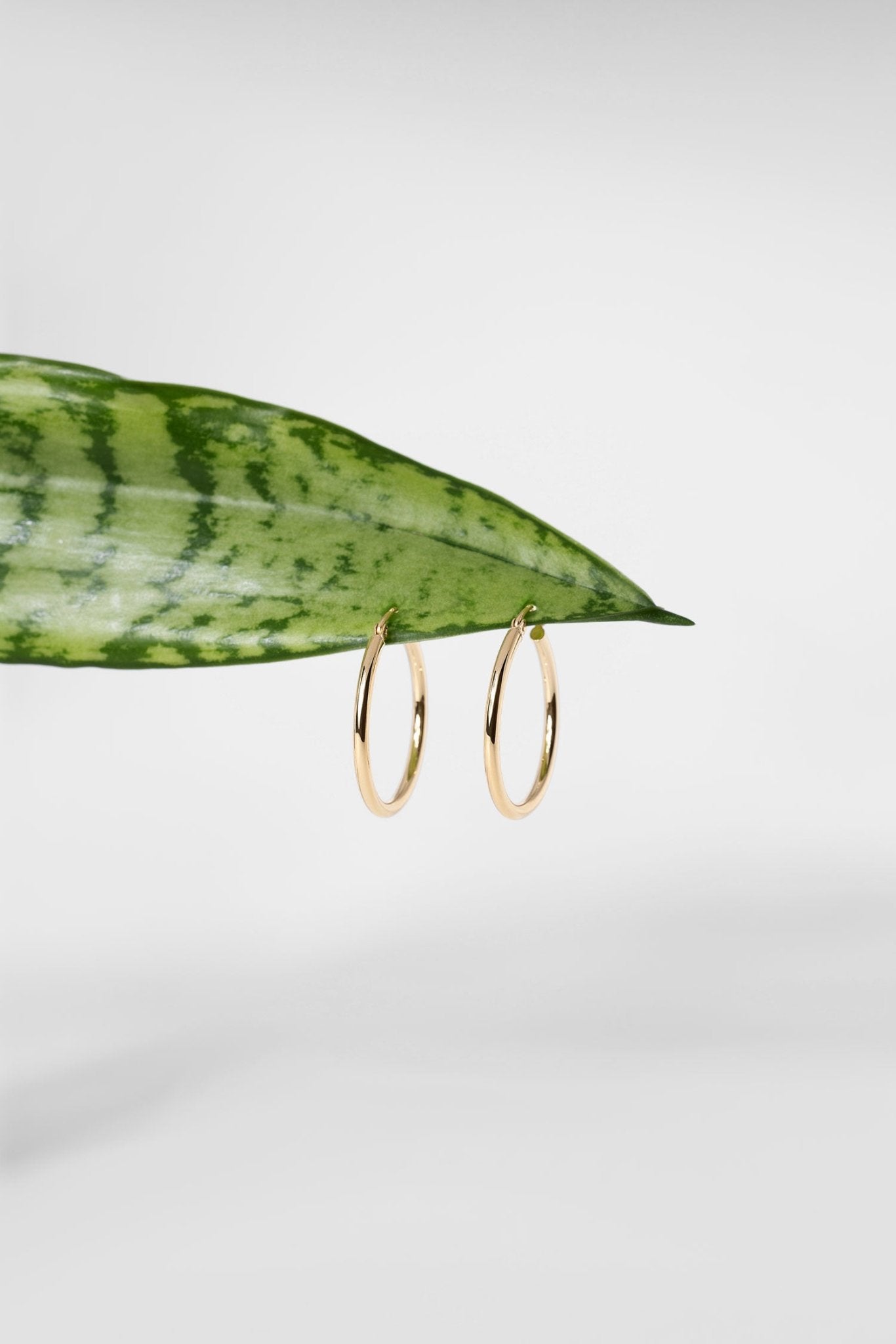25x2mm Hollow High Polish Hoop 14k Yellow